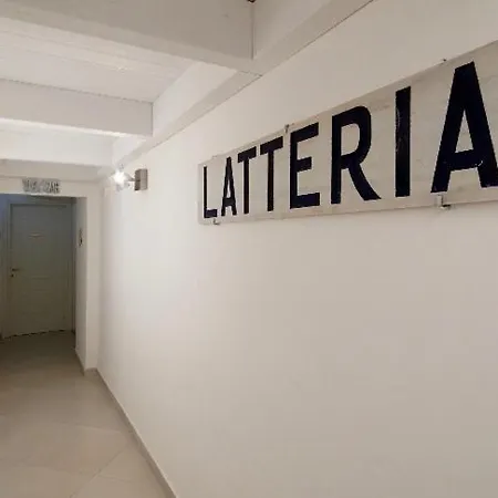 San Lorenzo House-3